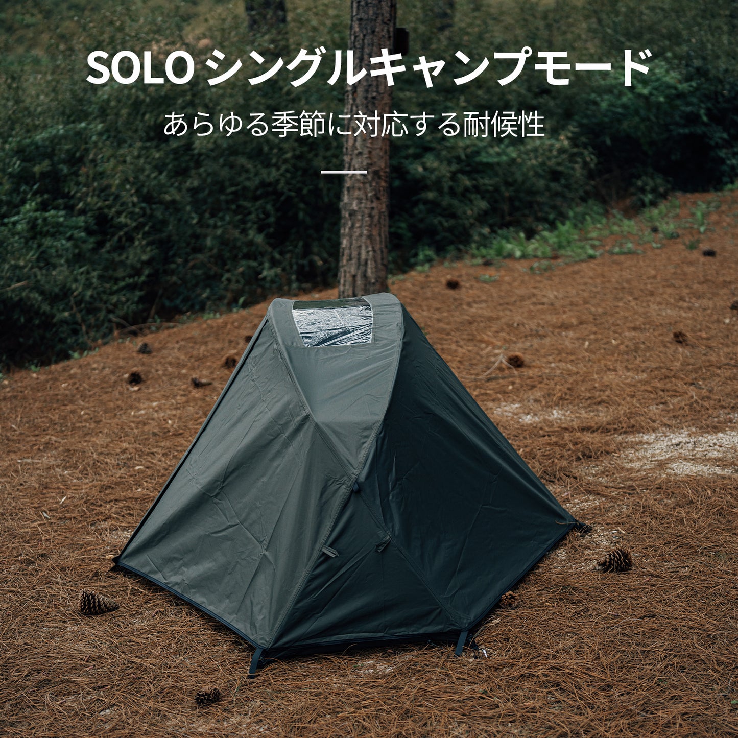 Springhill蓬莱メッシュシングルテント 1人用
