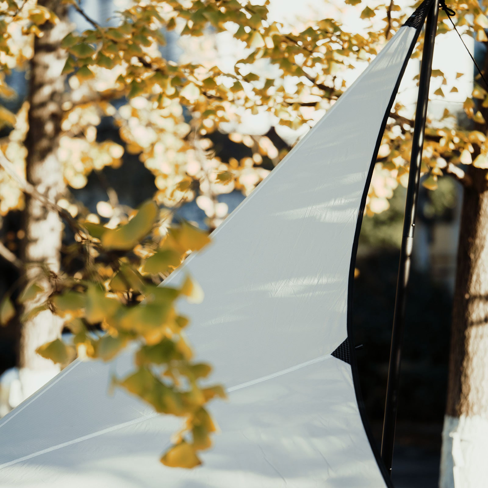 Springhill 軽量SOLOタープ